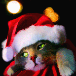 99px.ru аватар Кот в новогоднем колпаке на фоне мигающих бликов