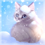 99px.ru аватар Серый котенок с голубыми глазами под падающим снегом, by Apofiss