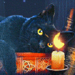 99px.ru аватар Черный кот лежа на книге тушит лапой горящую свечу