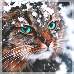 99px.ru аватар Зеленоглазый кот под снегопадом