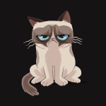 99px.ru аватар Обиженный сиамский кот на черном фоне