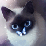 99px.ru аватар Сиамская кошка с бабочкой на носике, by Apofiss