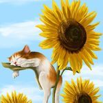 99px.ru аватар Котенок спит на листе подсолнуха, by Veronica Minozzi