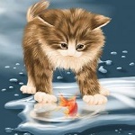 Аватар Котенок смотрит на рыбку в воде, by Veronica Minozzi