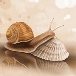 Аватар Улитка спит на ракушке, by Veronica Minozzi