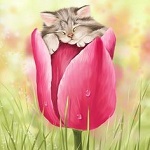 Аватар Котенок спит на тюльпане, by Veronica Minozzi