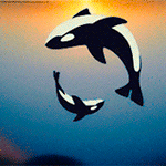 99px.ru аватар Аватар Два дельфина кружать на фоне моря с солнцем