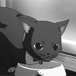 99px.ru аватар Черная кошка сидит у миски и мяукает