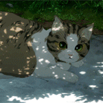99px.ru аватар Йошино Кохару / Yoshino Koharu из аниме Квест Сакуры / Sakura Quest, фотографирует кошку