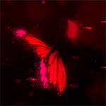 99px.ru аватар Парящая красная бабочка