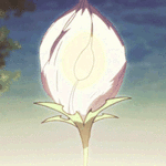 99px.ru аватар Распускающийся белый цветок. Аниме:Мастер Меча