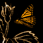 99px.ru аватар Желтая бабочка над цветком