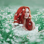99px.ru аватар Девушка в ромашковом поле, фотограф Светлана Беляева