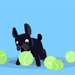 Аватар Собаки разных пород на голубом и синем фоне