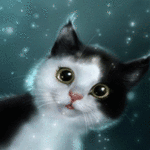 Аватар Котик мигает под блестками, автор Liora