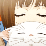 99px.ru аватар Tachibana Mei / Татибана Мей и кот Зефир из аниме Suki-tte Ii na yo / Скажи Я люблю тебя
