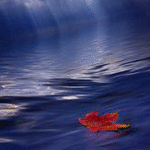 99px.ru аватар Кленовый листик на воде