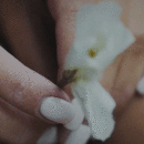 99px.ru аватар В руках девушки цветок