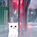 99px.ru аватар Белый котик сидит на асфальте, на фоне вечернего города из аниме Сад изящных слов / The Garden of words под дождем