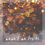 99px.ru аватар Осенние листья в луже (autumn)