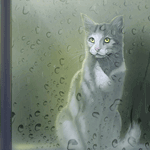 99px.ru аватар Кошка сидит на окне, за которым идет дождь, by Followthepaws