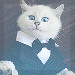 99px.ru аватар Белый котенок с забавным выражением на мордочке в пиджаке и бабочке