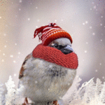 99px.ru аватар Воробышек в шарфе и шапке