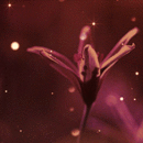 99px.ru аватар Цветок под падающими блестками