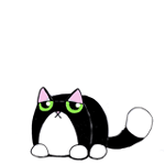 99px.ru аватар Зеленоглазый черно-белый кот на белом фоне, by KingZoidLord