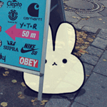 99px.ru аватар Белый кролик на асфальте, by yoyothericecorpse