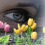 99px.ru аватар Розовые и желтые тюльпаны колышутся на ветру возле воды на фоне задумчивого взгляда