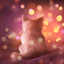 99px.ru аватар Котенок среди бликов, by clefchan