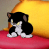 99px.ru аватар Котенок Фигаро из мультфильма Пиннокио / Pinocchio