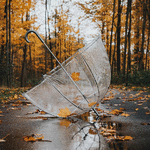 Аватар Зонт лежит на дороге под падающей листвой