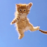 99px.ru аватар Пролетающий рыжий котенок