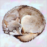 Аватар Свернувшаяся клубочком лиса, by Кувшинов Илья