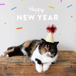 Аватар У котика падает праздничный колпак (Happy NEW YEAR / Счастливого Нового Года)
