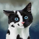 99px.ru аватар Черно-белый котенок с голубыми глазами