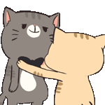 99px.ru аватар Рыжий кот поправляет бабочку на шее серого кота и тянет его за щеки