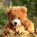 99px.ru аватар Исрушечный мишка с осенней личтвой
