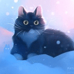 Аватар Кошка лежит на снегу