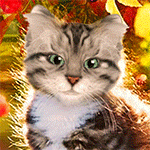 99px.ru аватар Серый котенок на фоне листопада