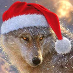 99px.ru аватар Волк в новогодней шапочке