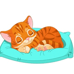 99px.ru аватар Спящий рыжий котик