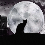 99px.ru аватар Кошка сидит на фоне луны