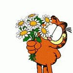 Аватар Кот Garfield / Гарфилд с ромашками из одноименного мультфильма