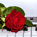 99px.ru аватар Красная роза на клавишах рояля