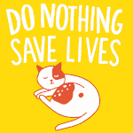 99px.ru аватар Бело-рыжий кот лежит на желтом фоне (Do nothing save lives / Спаси жизнь ничего не делая)