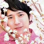Аватар Певец и актер Ниномия Казунари / Ninomiya Kazunari из группы Араши / ARASHI прячется за цветущим деревом