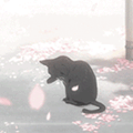 Аватар Черная кошка из аниме Shigatsu wa Kimi no Uso / Твоя апрельская ложь под падающими лепестками сакуры
